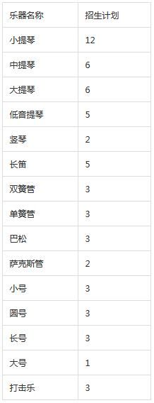 管弦乐器招生计划表 管弦乐器招生计划表