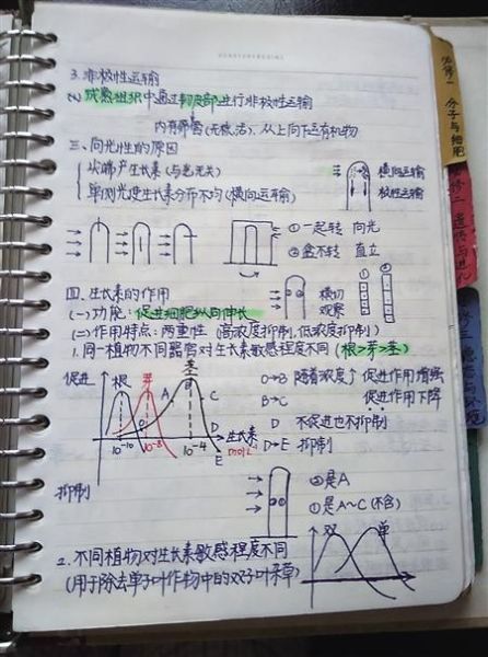 夏清荃的笔记 谢璐阳的笔记