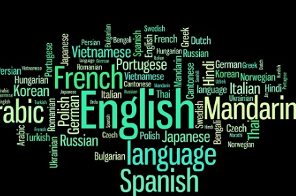 英语中最常用的6个外来语表达