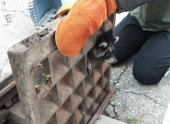 获爱心人士救助 获爱心人士救助