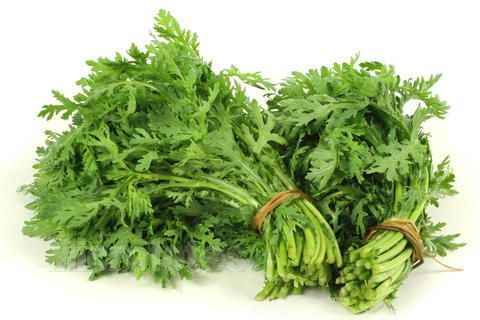 茼蒿 茼蒿