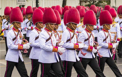 泰国士兵游行的帽子像火龙果的形状 泰国士兵游行的帽子像火龙果的形状