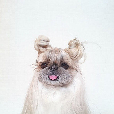 Double topknots Double topknots
