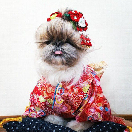 Flower crown (and kimono!) style Flower crown (and kimono!) style