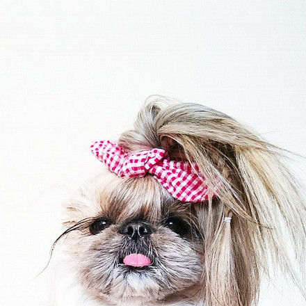 High pony and plaid High pony and plaid