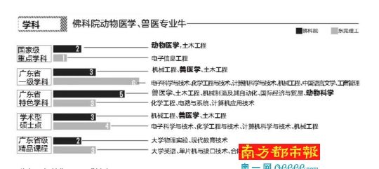 专业 专业