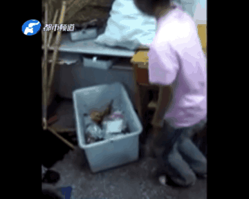 焦作某中学惊现校园暴力”的视频 焦作某中学惊现校园暴力”的视频