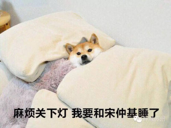 图片来源网络 图片来源网络