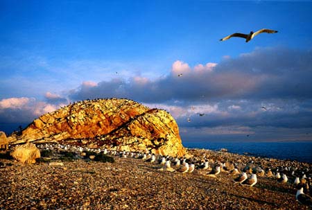 ��ͼ���ҹ���һ����½����--�ຣ��