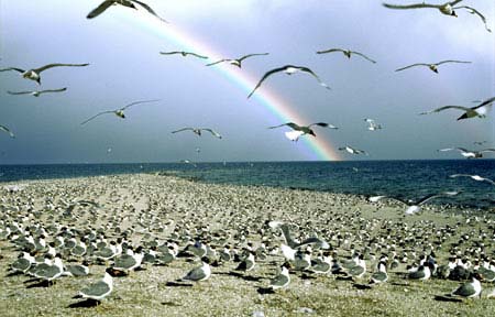 ��ͼ���ҹ���һ����½����--�ຣ��