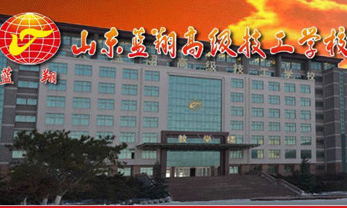 不可忽略的"奇葩"蓝翔技校