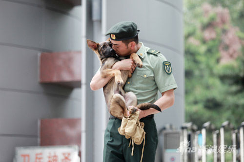 神犬奇兵萌宠来袭杨烁变身全能汪爸