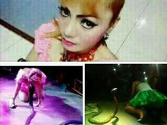 女歌手被毒蛇咬伤致死