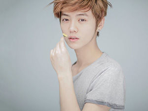 鹿晗方说黄牛追车屡劝