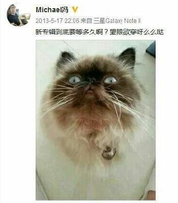 为什么冯轲劣迹斑斑张靓颖还是不肯离开他？