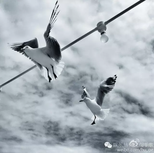 为什么胡歌可以成为少有的无黑点演员？