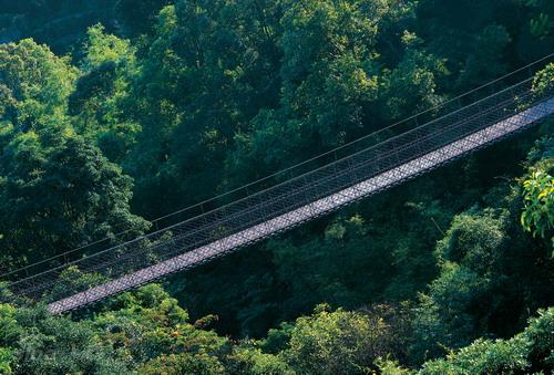 图文:深圳华侨城美丽风光--竹溪索桥