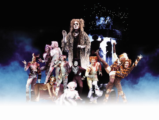 资料图片:音乐剧《猫》精彩剧照(11)