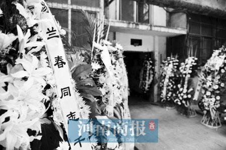 今天上午,杨兰春追悼会将在郑州市殡仪馆举行.