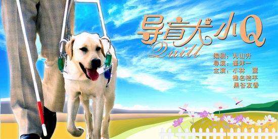 周日点播《导盲犬小Q》(7月29日22:17)