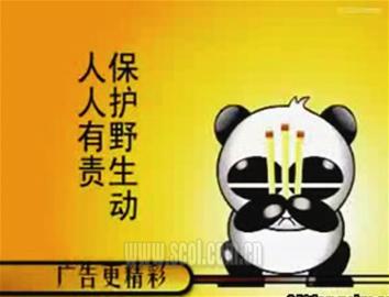 “太阳”惨被恶搞出品方大度对待一笑了之(图)