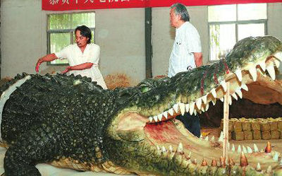揭秘《百万巨鳄》:效果逼真造价百万