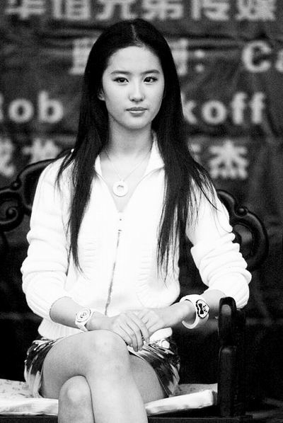 拨开《功夫之王》迷雾 成龙李连杰受瞩目【图】