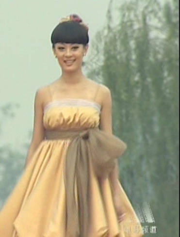 组图:历届金鸡百花颁奖礼女星风采着装top10