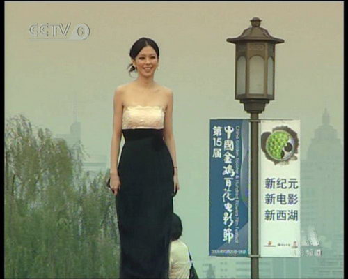 组图:历届金鸡百花颁奖礼女星风采着装top10