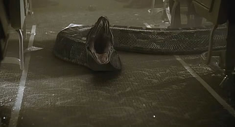 《航班蛇患》剧照