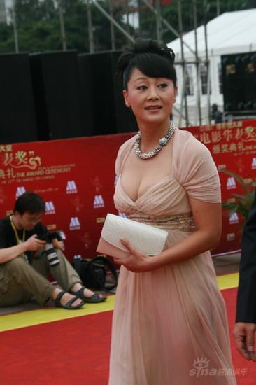 图文：第12届华表奖红毯--王姬中世纪贵妇装