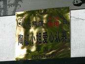 组图：陆川陈小艺小陶虹四川雅安认养大熊猫