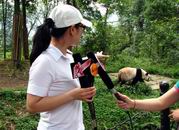 组图：陆川陈小艺小陶虹四川雅安认养大熊猫
