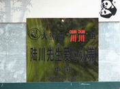 组图：陆川陈小艺小陶虹四川雅安认养大熊猫