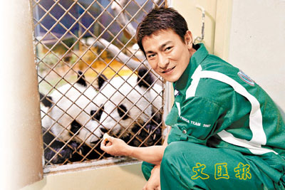 大熊猫盈盈乐乐见香港市民刘德华打点起居(图)