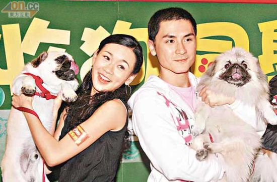 杨思琦与李泳豪经历不少风雨，可惜二人最后没能开花结果