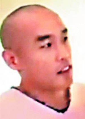 东尼大木