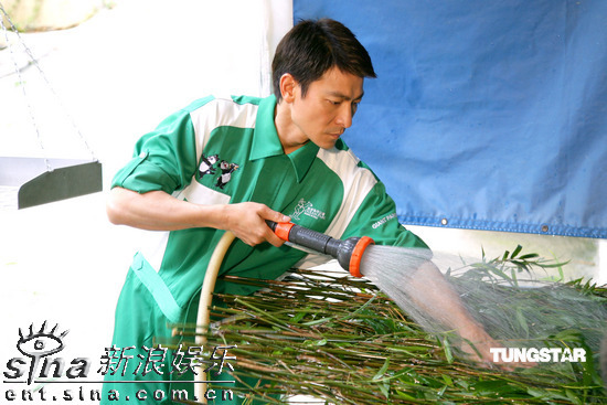 组图：刘德华海洋公园做义工精心照顾大熊猫
