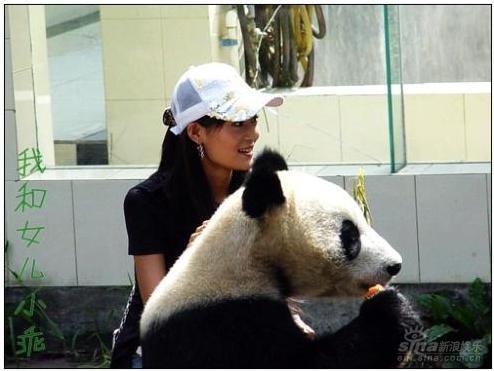 王媛可和熊猫女儿小乖可爱的“一家人”(图)