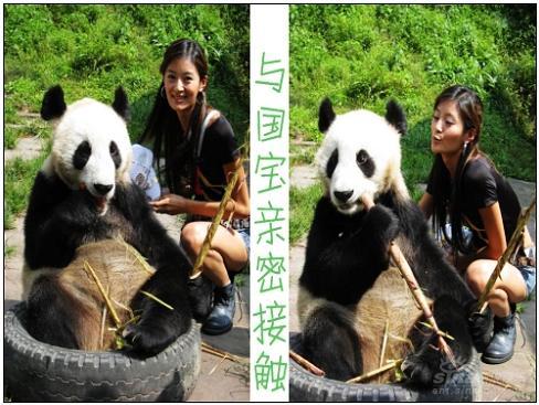 王媛可和熊猫女儿小乖可爱的“一家人”(图)