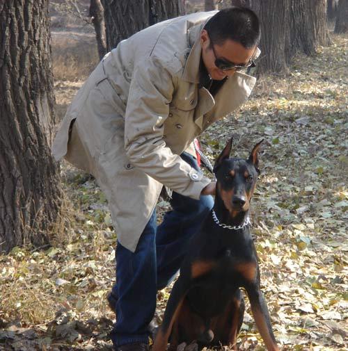 张涵予秋日与狗结缘展魅力型男优雅风采(组图)