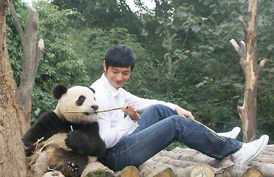 除演员,歌手,导演外,近日他又多了一个身份——一 "熊猫爸爸"