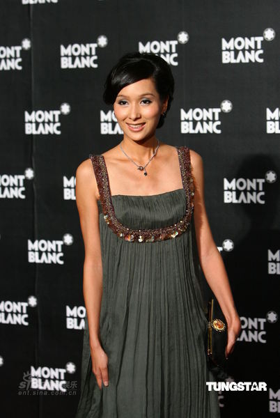 明星汇聚上海 章子怡等与奥斯卡影后争艳【图】