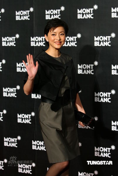 明星汇聚上海 章子怡等与奥斯卡影后争艳【图】