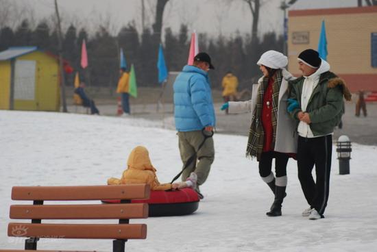 怀孕七个月吃什么好张柏芝再漂亮也离婚了,张