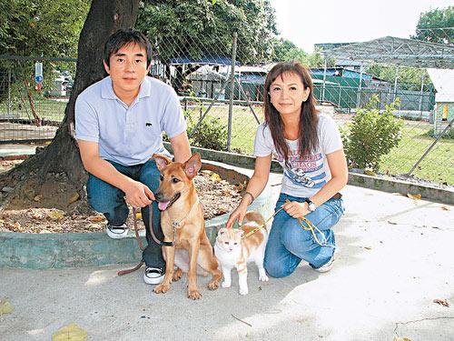 曾华倩为《当狗爱上猫》骚扰小动物(附图)