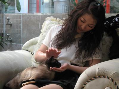 金海心做客《大众娱乐在线》 猫女郎谈养猫经