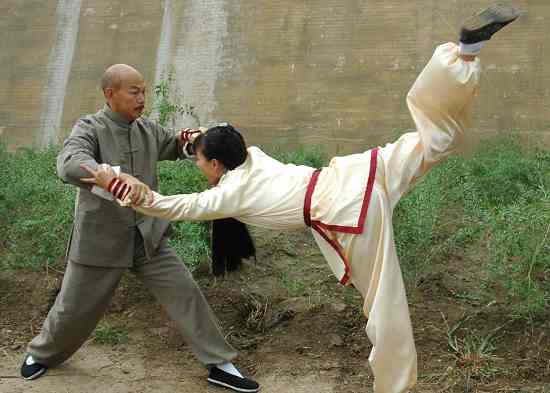 《广府太极传奇》片场意外 罗家英扑救太极传人_影音娱乐_新浪网