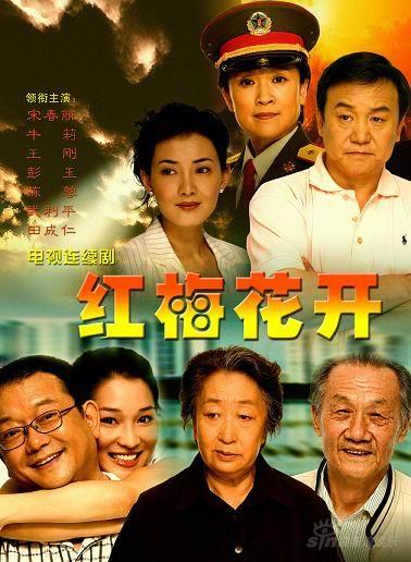 《红梅花开》播出大结局王刚宋春丽分道扬镳