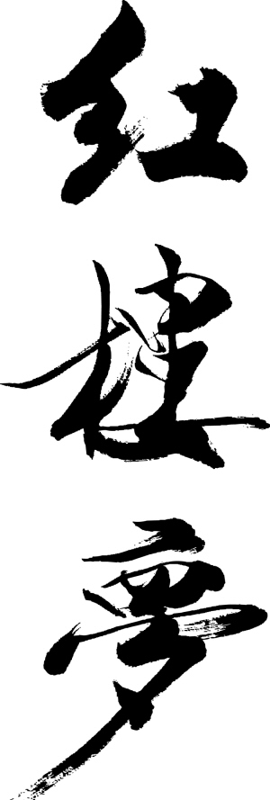 李少红谈新版《红楼梦》：我尊重“选秀”演员